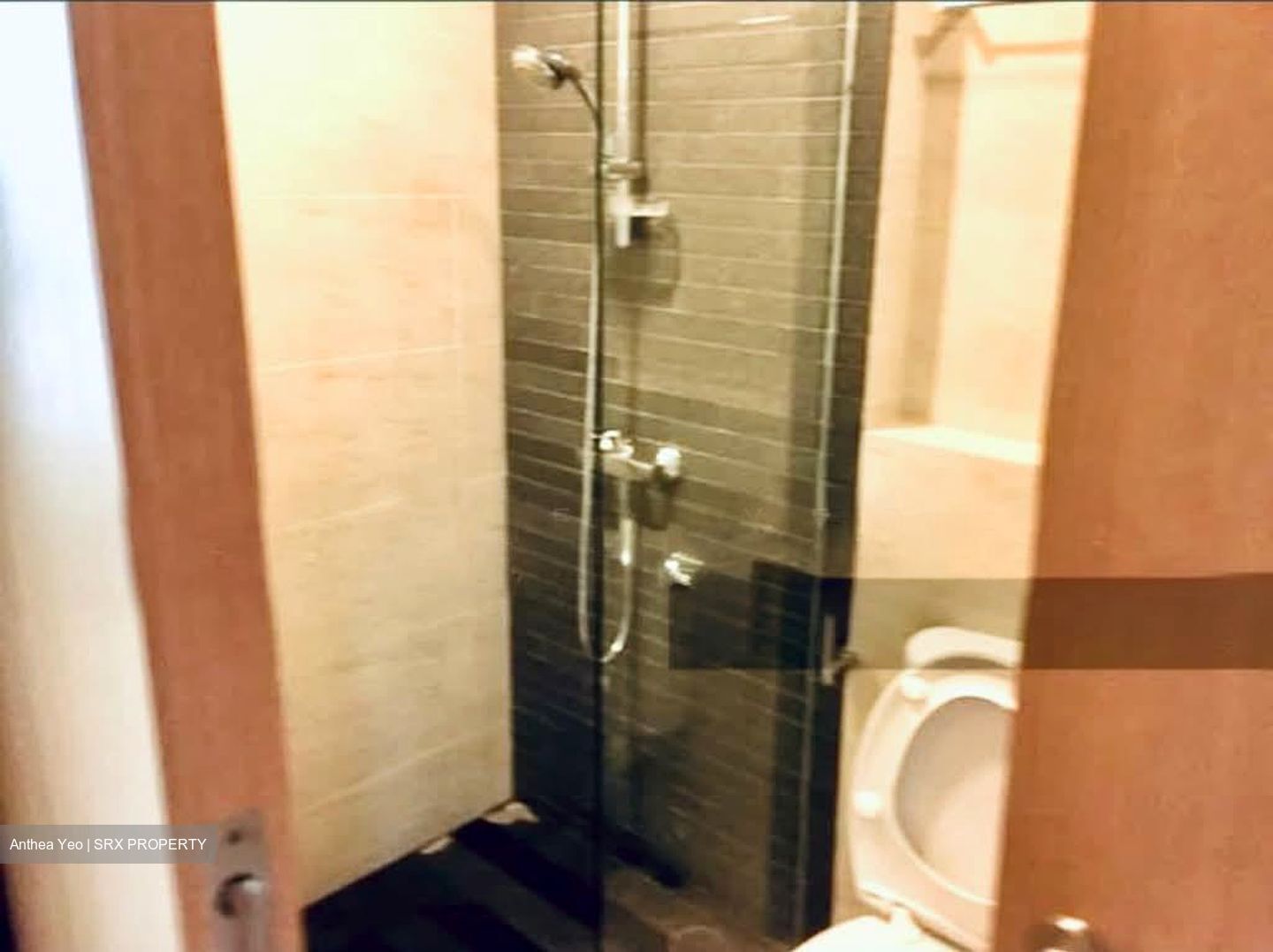 Park Infinia At Wee Nam (D11), Condominium #583843791